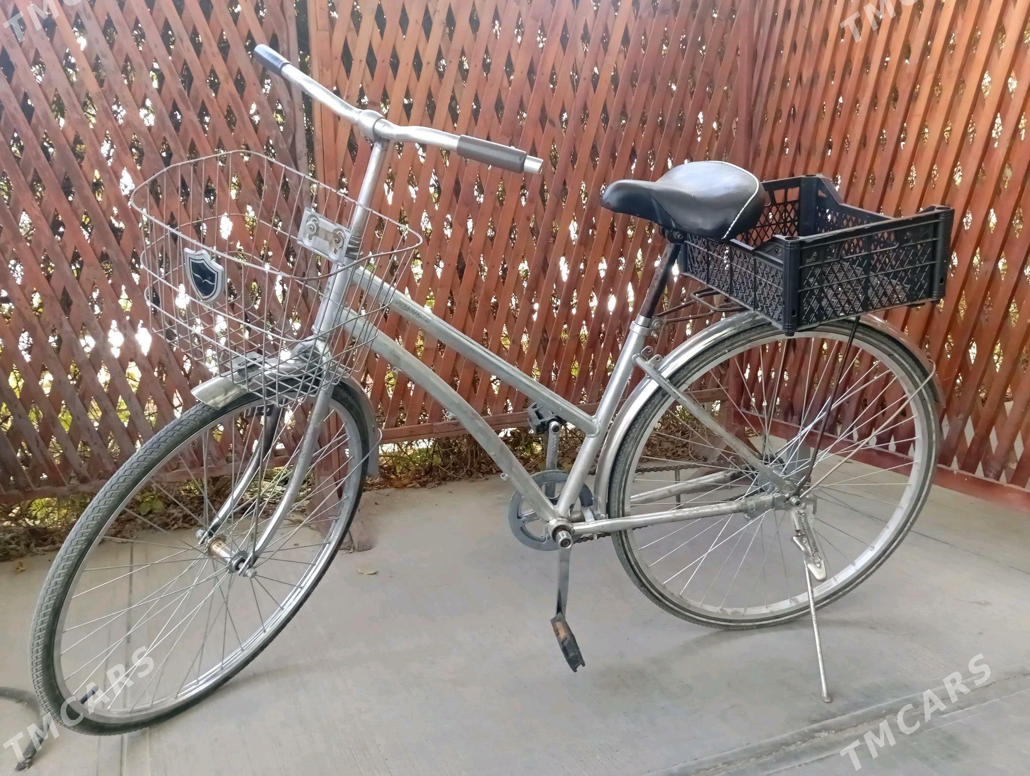 tigir - Änew - img 3