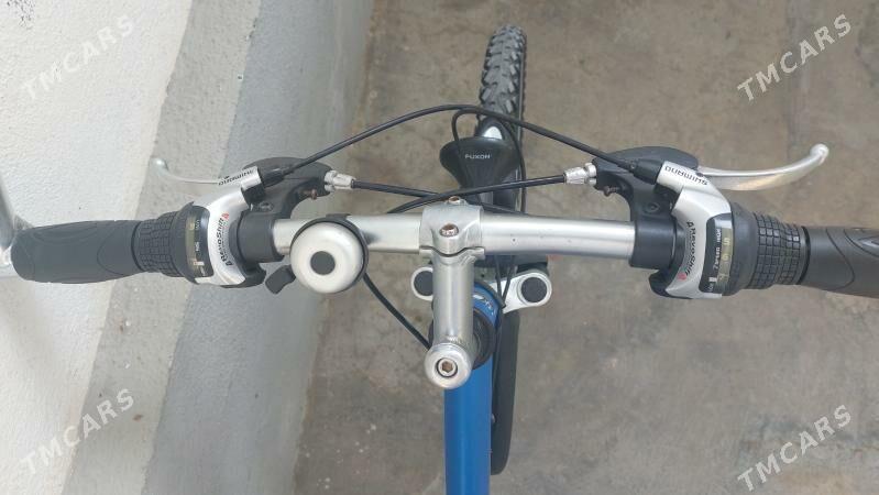 Tigir welisoped - Чоганлы - img 3