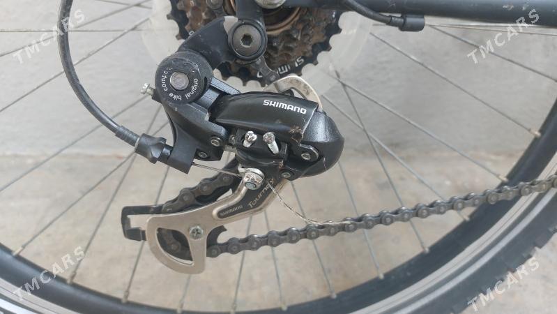 Tigir welisoped - Чоганлы - img 4