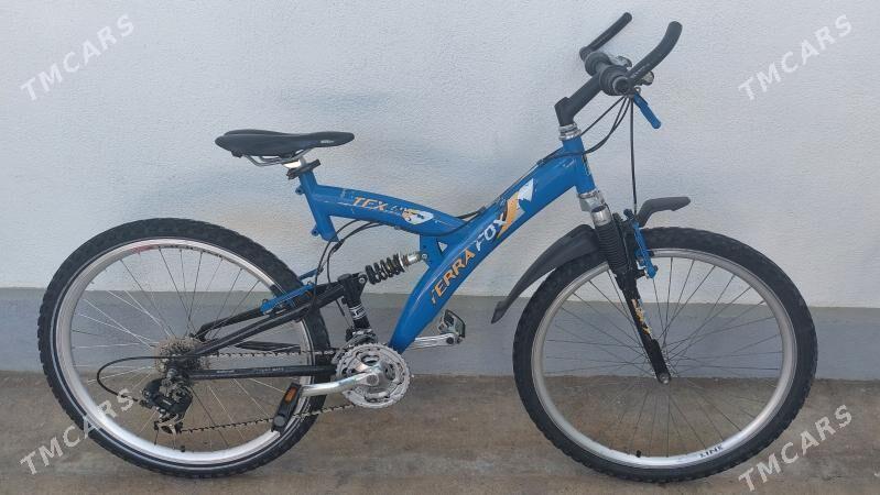 Tigir welisoped - Чоганлы - img 2