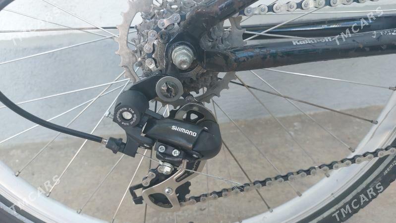 Tigir welisoped - Чоганлы - img 4