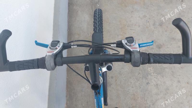 Tigir welisoped - Чоганлы - img 3