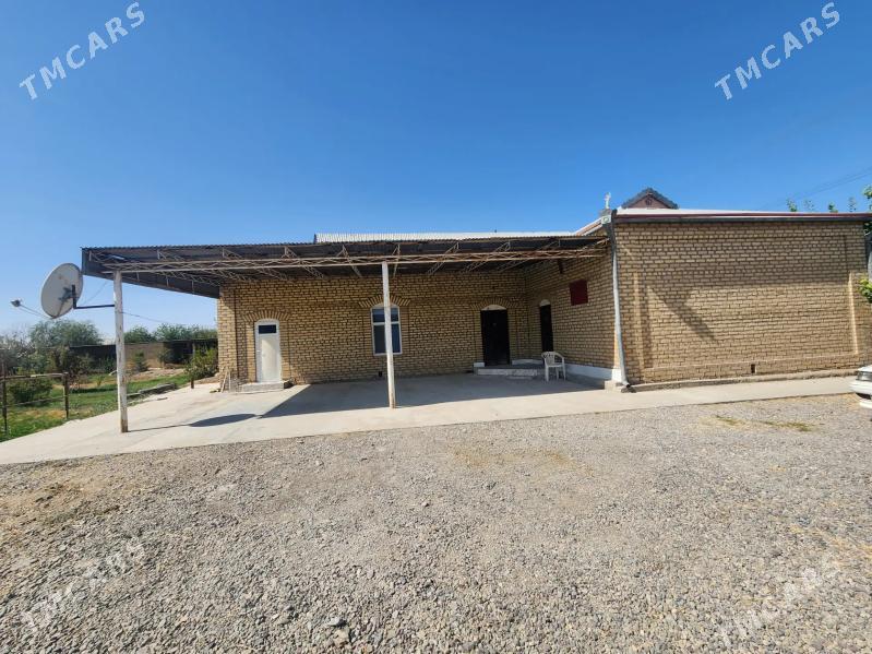 Satlyk jay - Mary - img 1