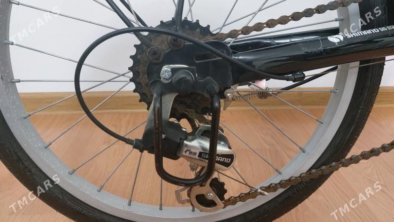 Tigir welisoped - Чоганлы - img 3