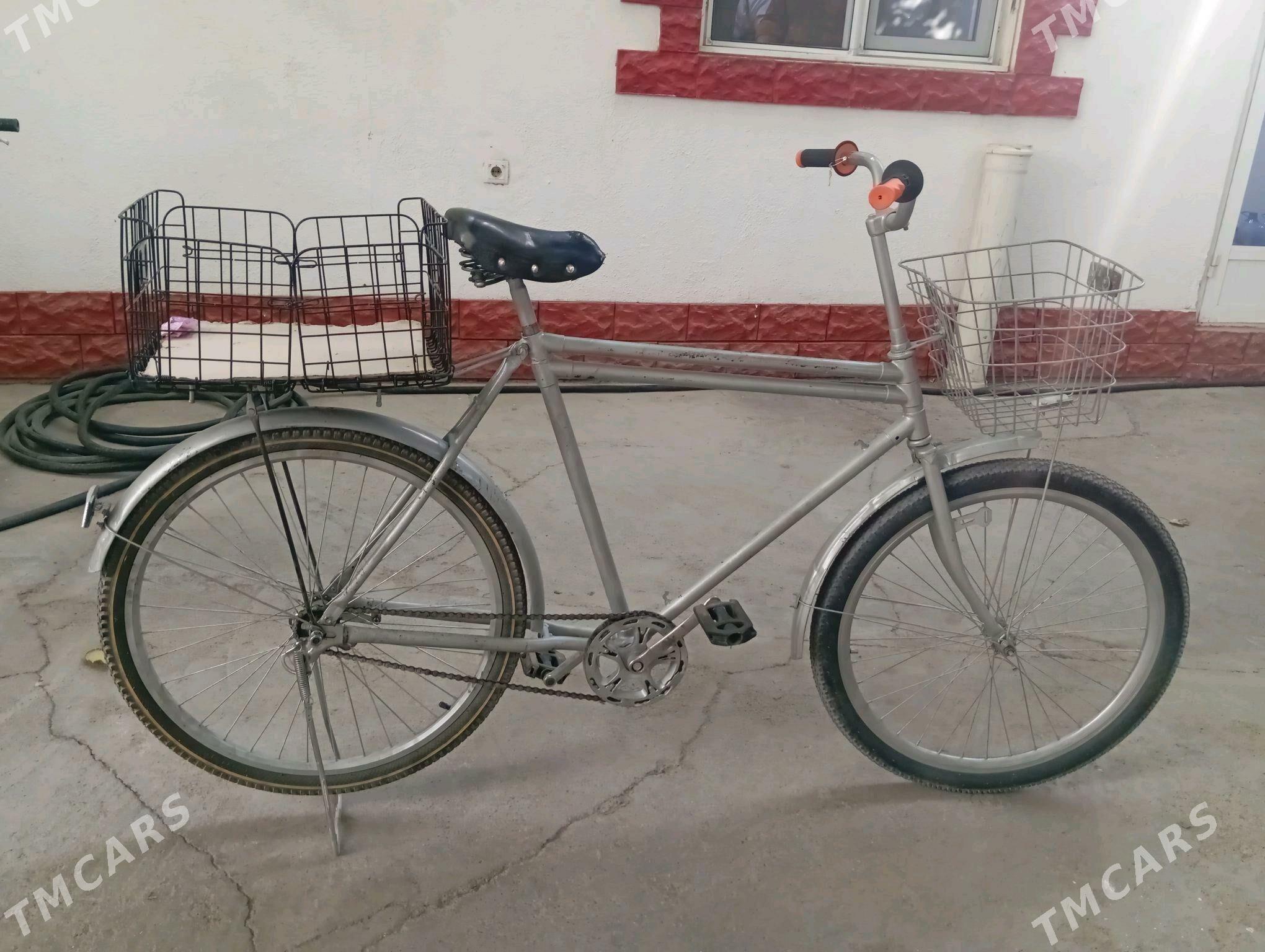 tigir - Анев - img 3