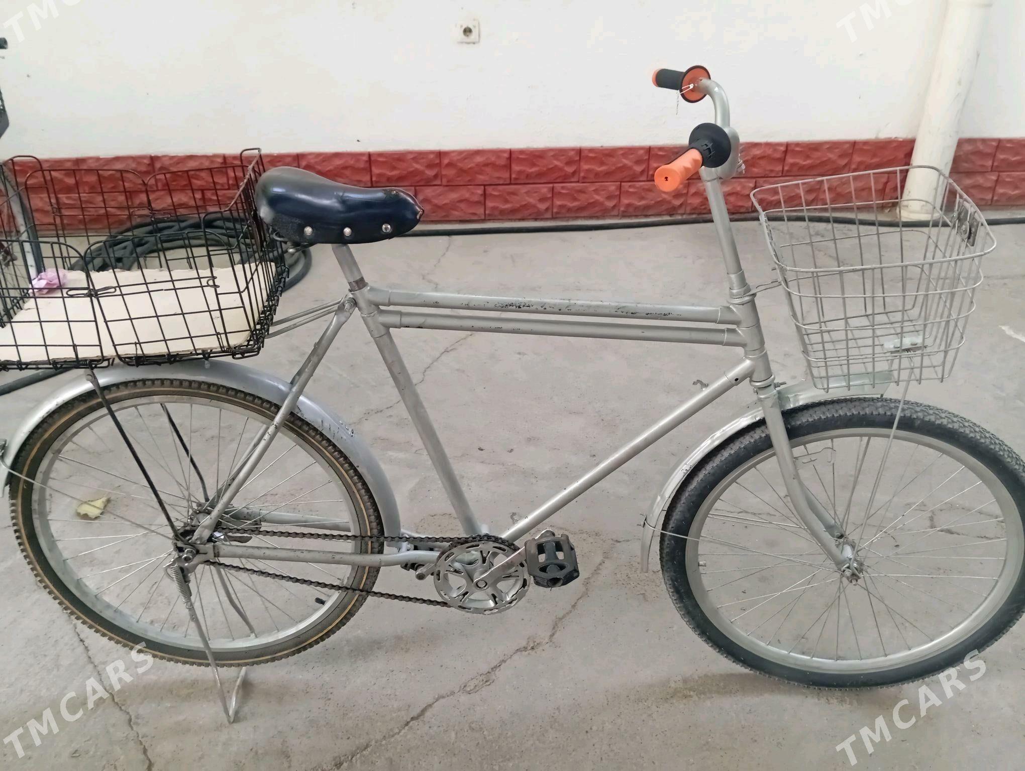 tigir - Анев - img 2