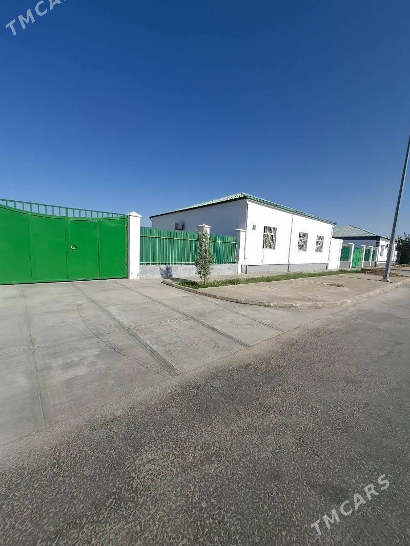 Taze zaman 1nji - Täze zaman - img 3