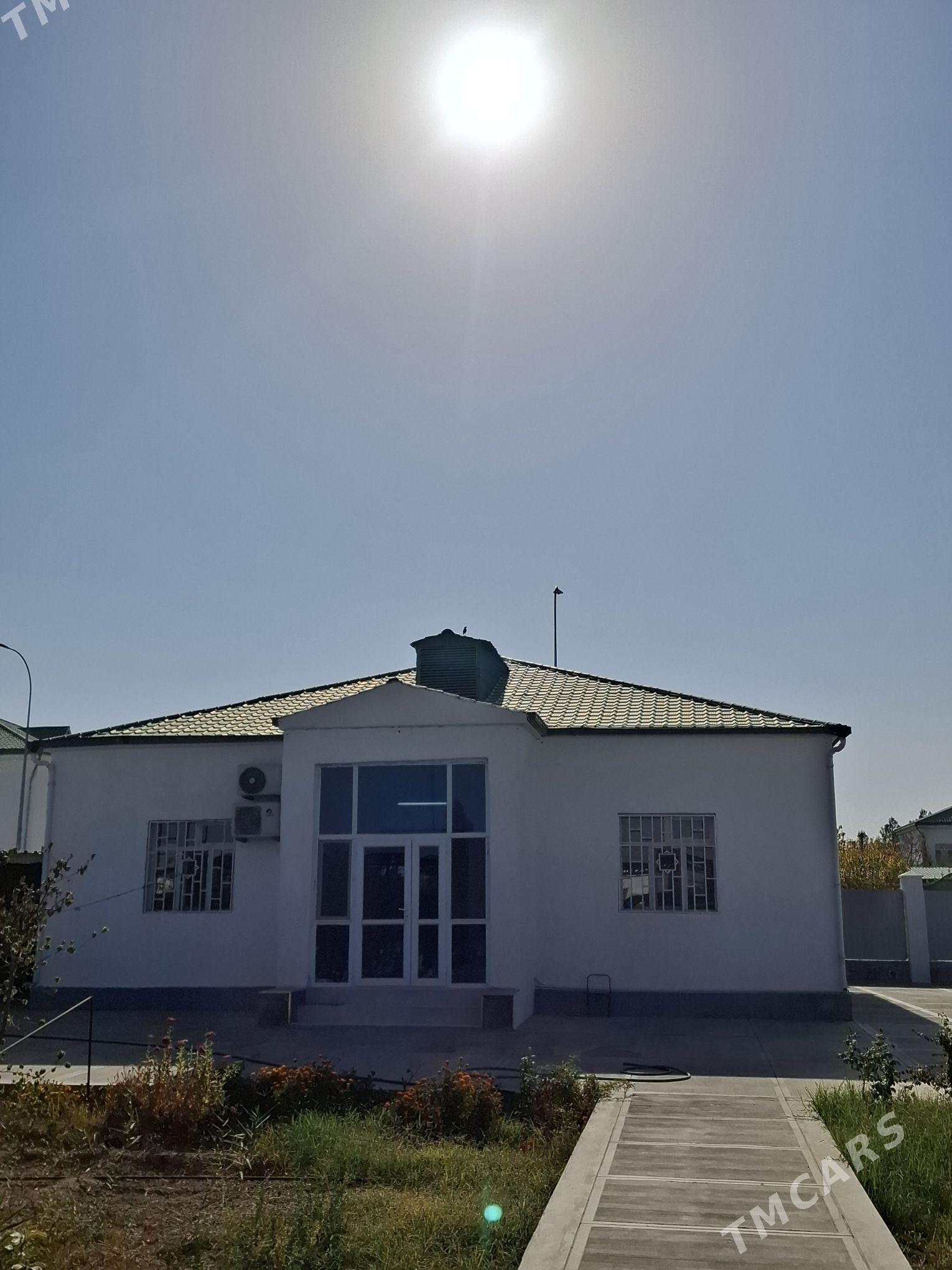 Taze zaman 1nji - Täze zaman - img 2