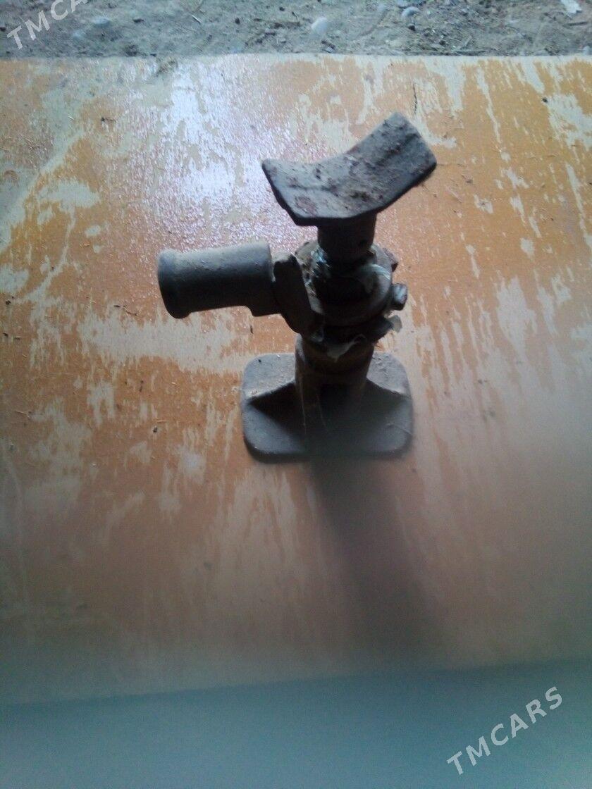 açarlar we damkrat - Mary - img 2