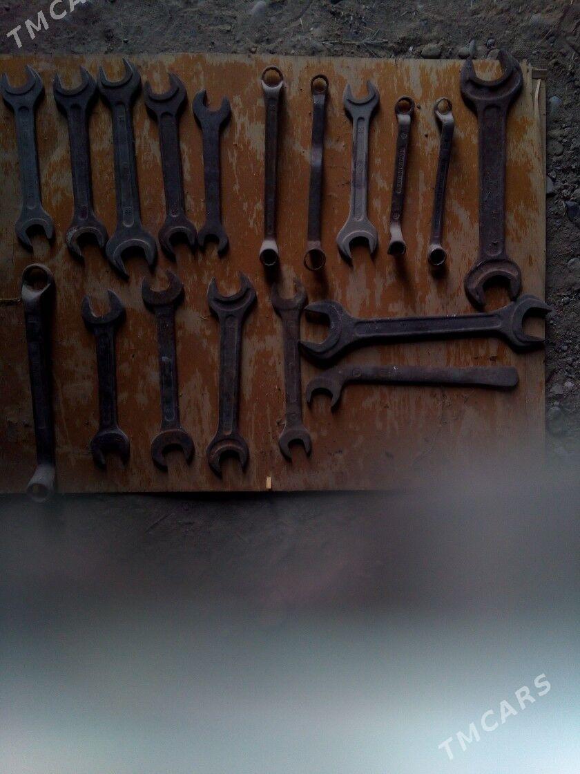 açarlar we damkrat - Mary - img 1