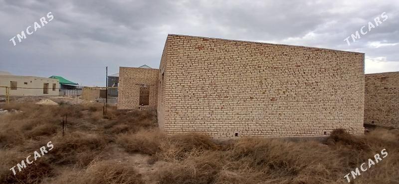 Satlyk jay - Mary - img 3