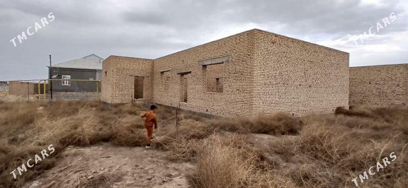 Satlyk jay - Mary - img 2