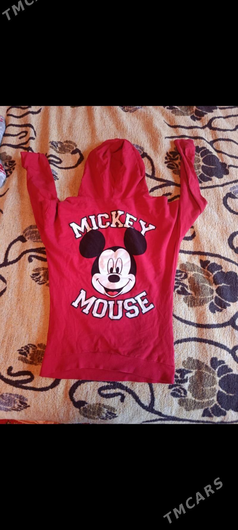 Jynsy calur - Daşoguz - img 5