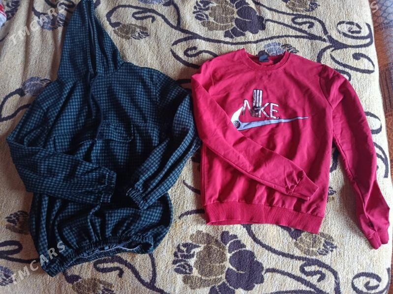 Jynsy calur - Daşoguz - img 2