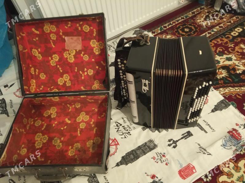 akardyon - Parahat 7 - img 4