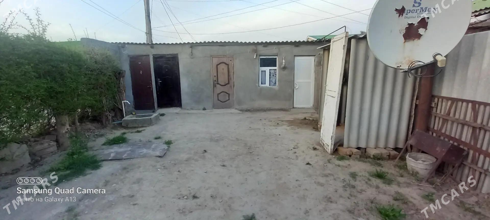 Kireyne Jay - Bekrewe - img 1