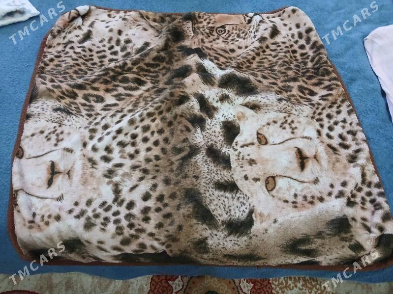 adyol - Daşoguz - img 3