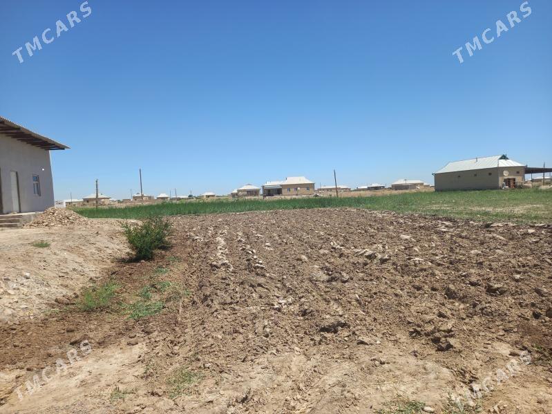 satlyk jay  Mekan şähercede - Baýramaly - img 4