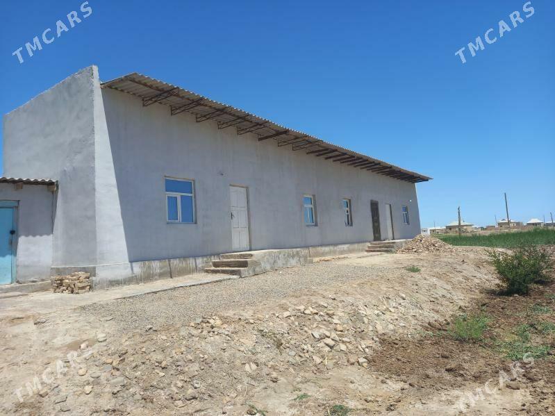 satlyk jay  Mekan şähercede - Baýramaly - img 2