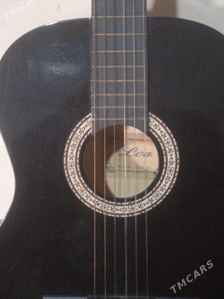 gitara - Mary - img 6