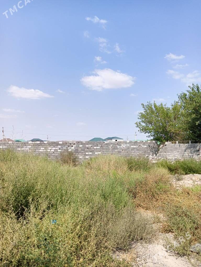 Чоганлы Дом 12 соток - Чоганлы - img 4