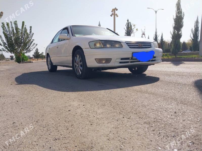 Toyota Camry 1998 - 117 000 TMT - Ak bugdaý etraby - img 2
