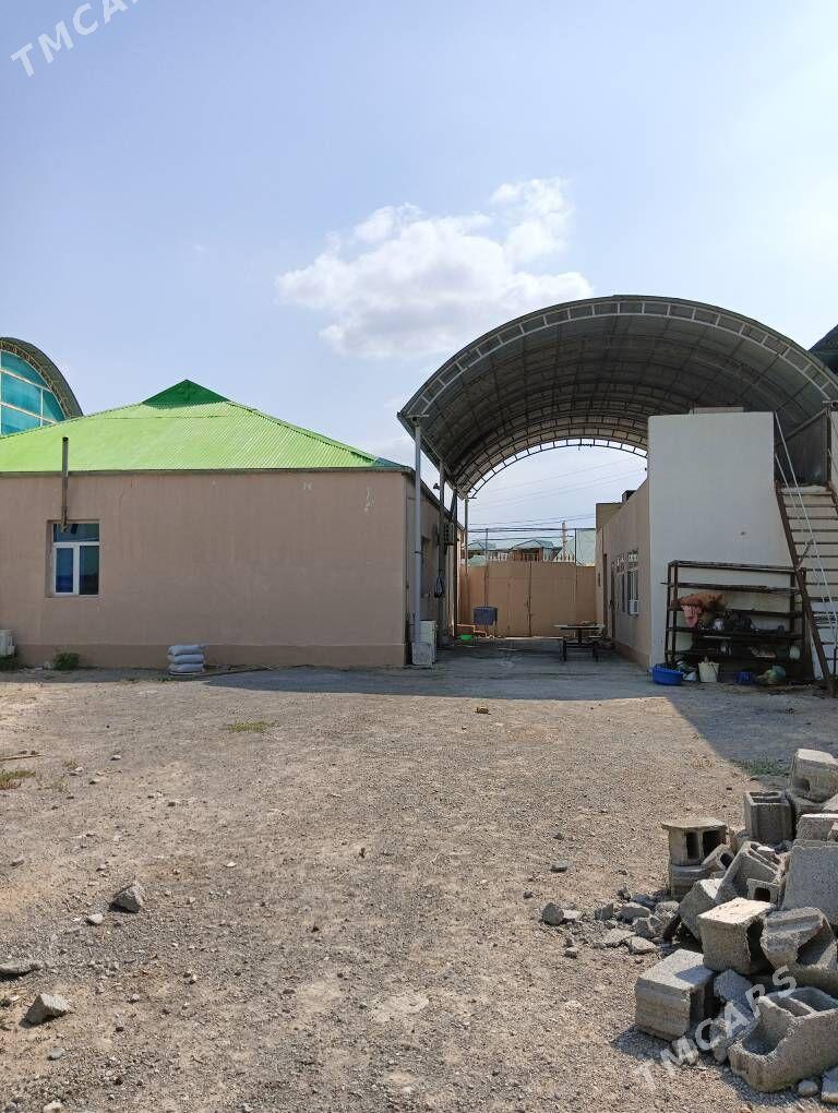 Чоганлы Дом 12 соток - Чоганлы - img 1