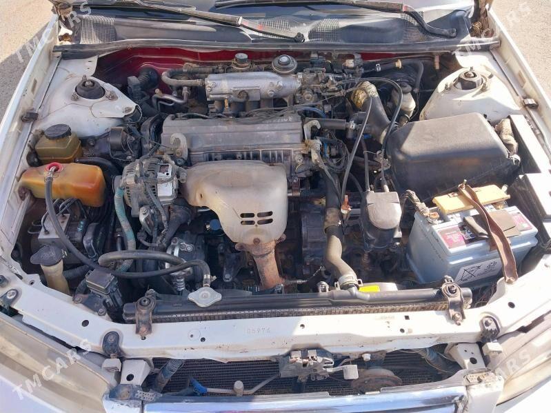 Toyota Camry 1998 - 117 000 TMT - Ak bugdaý etraby - img 1
