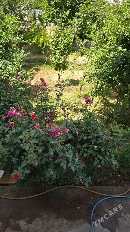 Гаудан А. 1эт. 3комн - Гаудан "А" - img 7