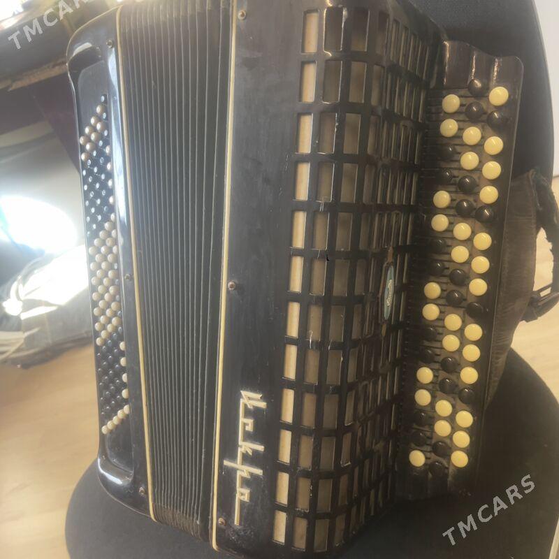 Баян - Çoganly - img 1