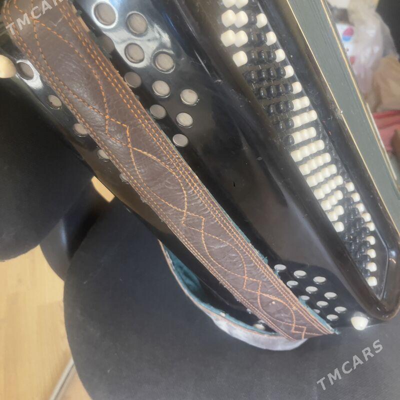 Баян - Çoganly - img 2