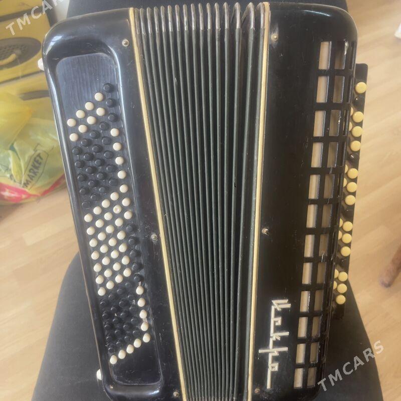 Баян - Çoganly - img 3