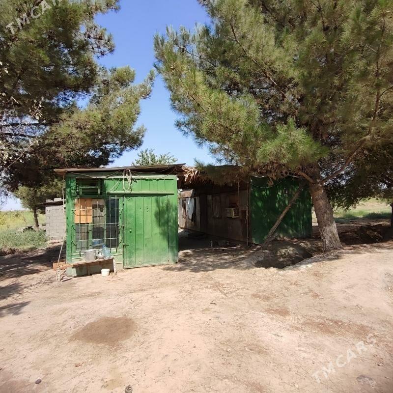 Ùzùmcilik mellek yer - Кипджак - img 1