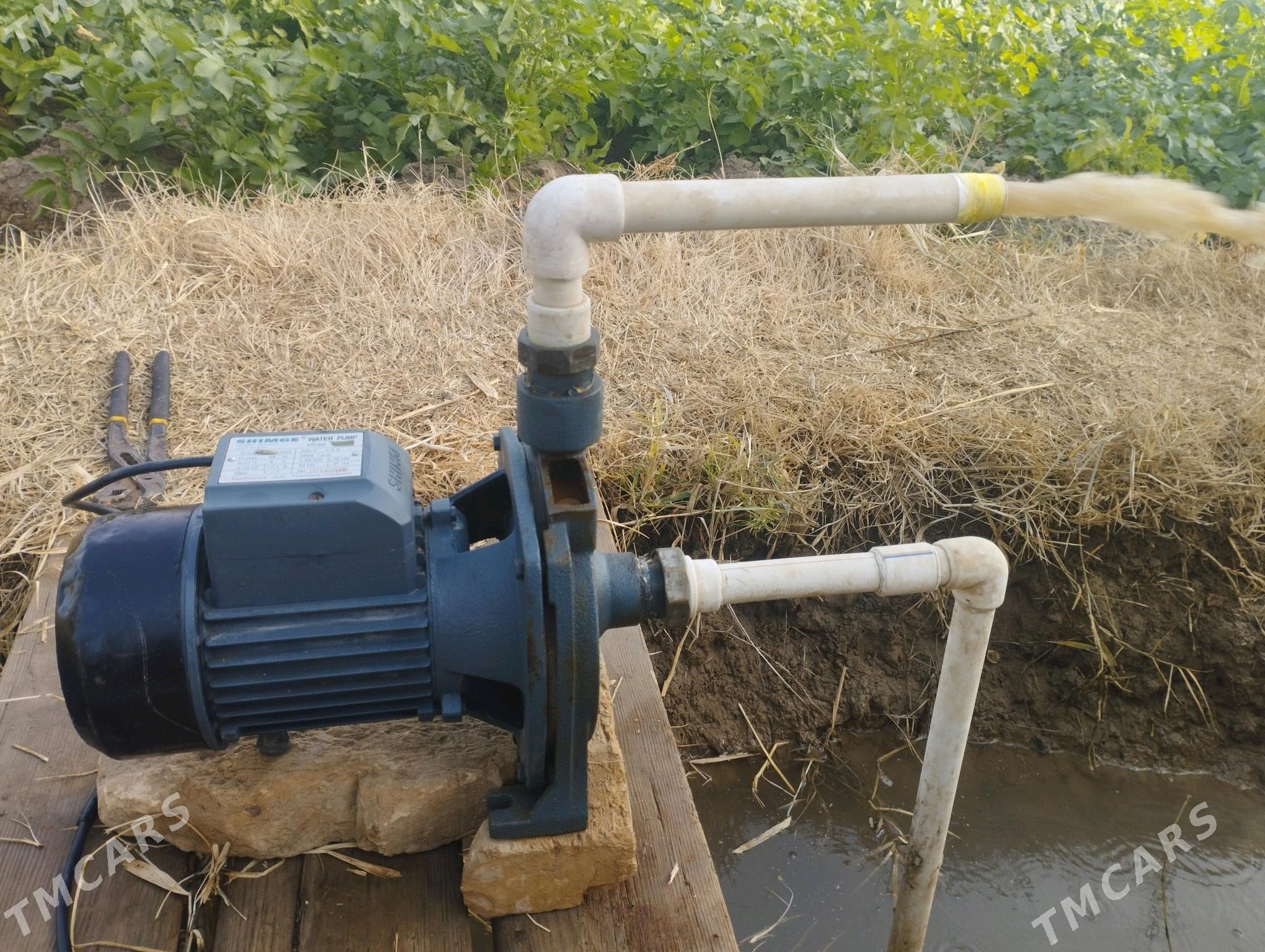 Shimge nasos 158lik - Мары - img 3