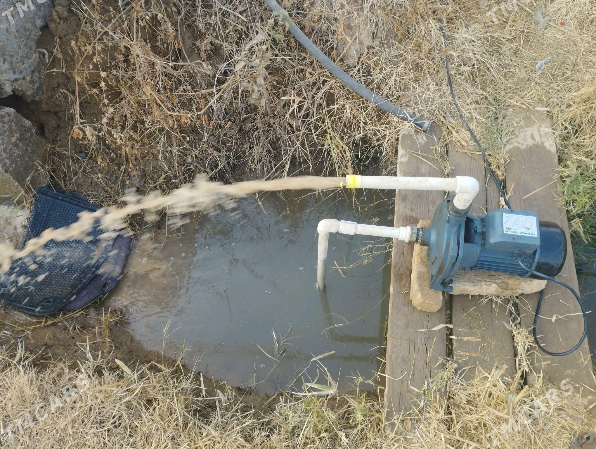 Shimge nasos 158lik - Мары - img 2