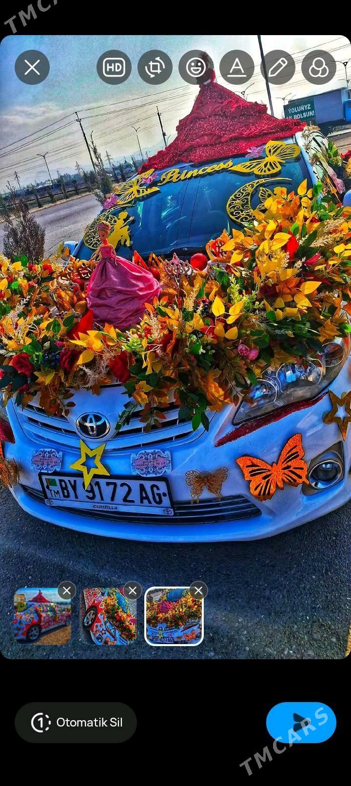 satlyk Bezeg - Büzmeýin - img 6