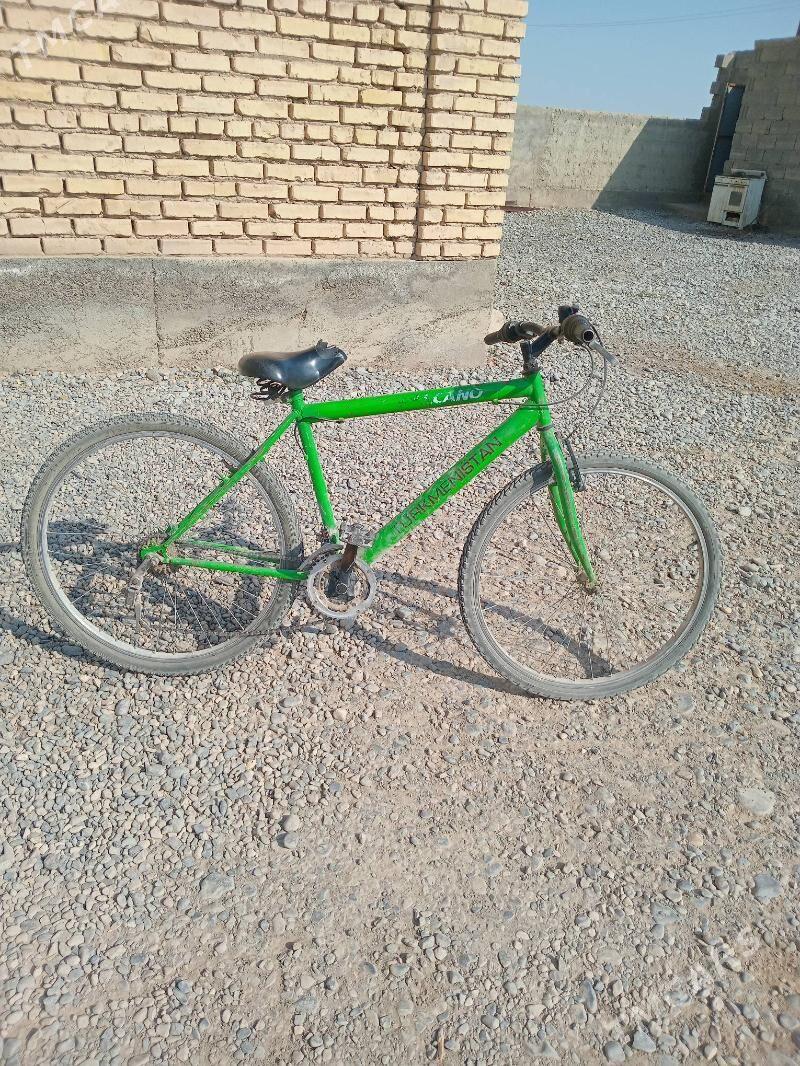 tigir - Кака - img 2