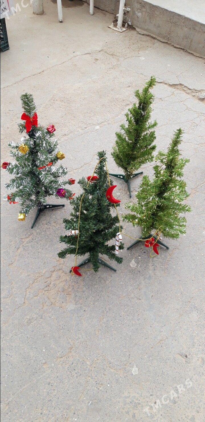 ЁЛКА УЛИ КИЧИ БАР  ОЙ БЕЗЕГ БА - Aşgabat - img 8