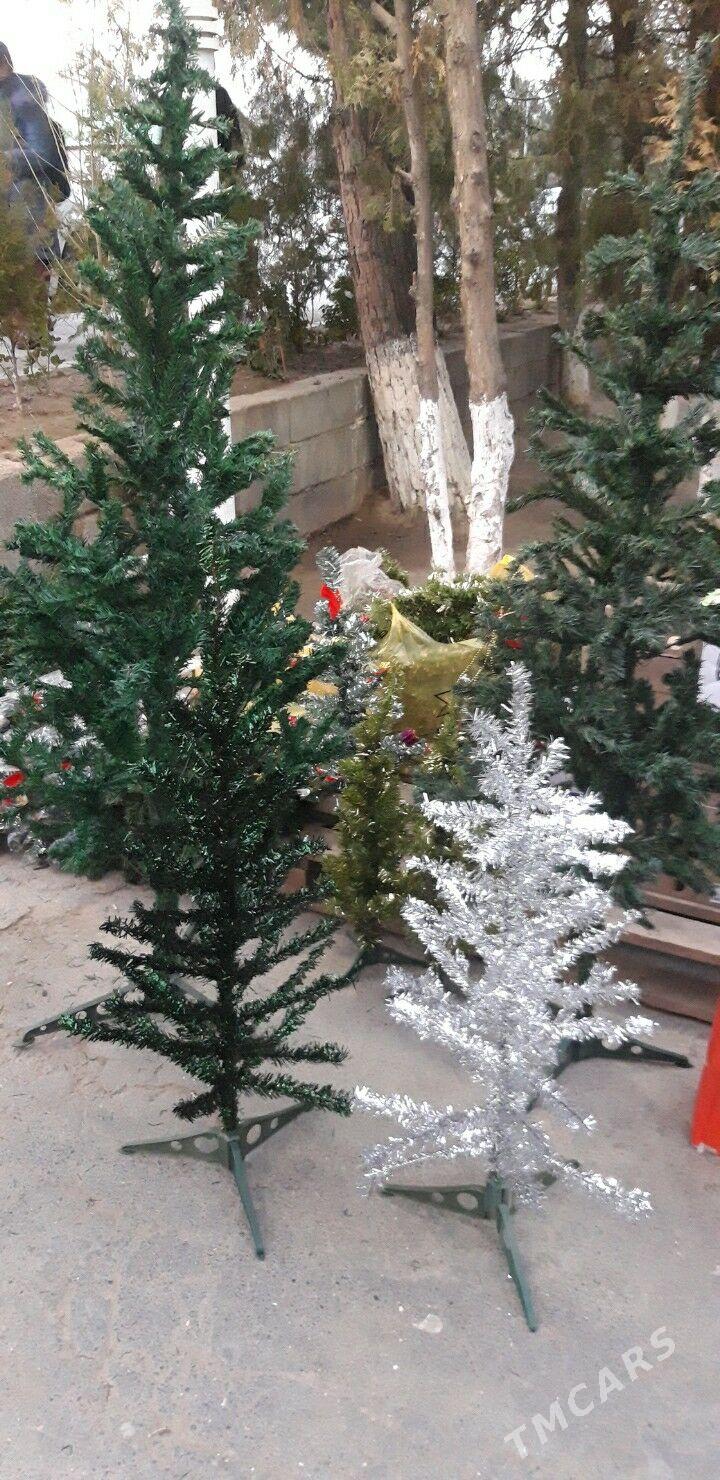 ЁЛКА УЛИ КИЧИ БАР  ОЙ БЕЗЕГ БА - Aşgabat - img 7