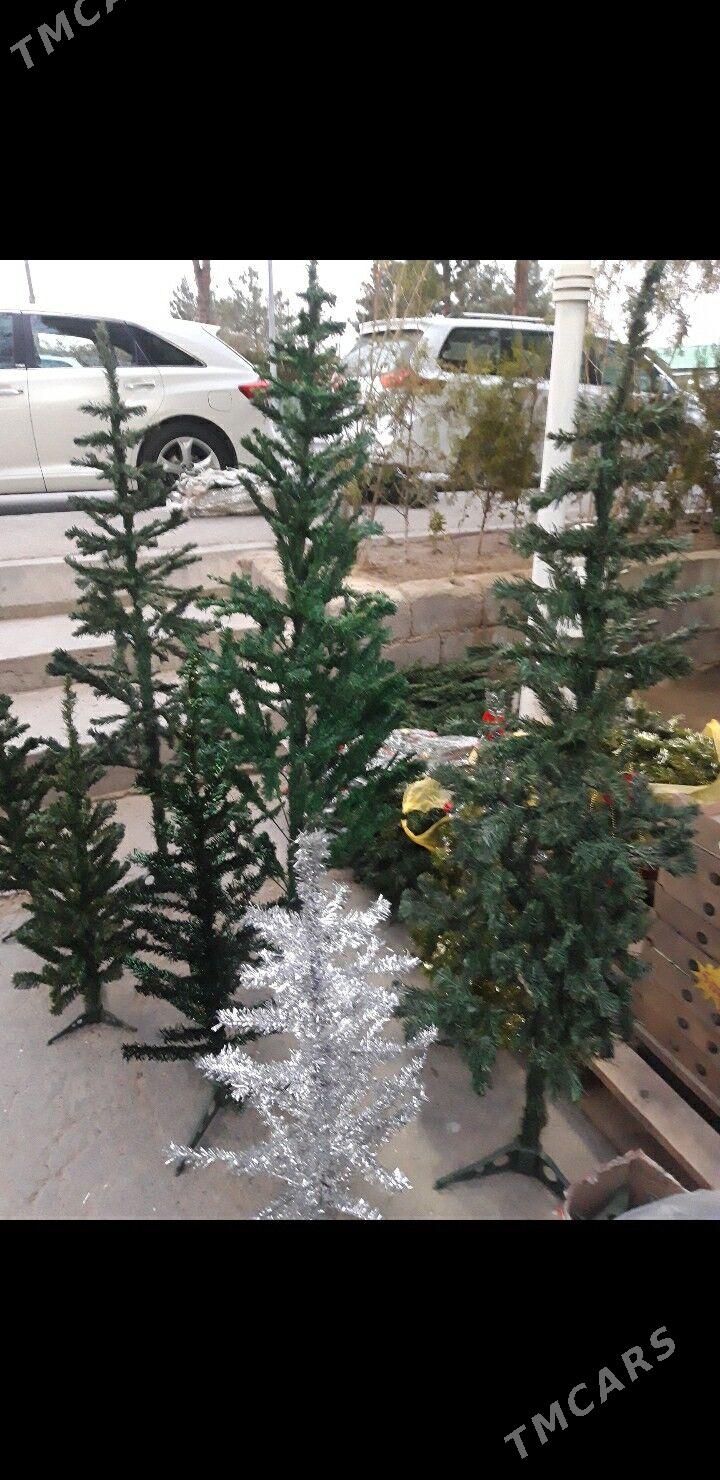 ЁЛКА УЛИ КИЧИ БАР  ОЙ БЕЗЕГ БА - Aşgabat - img 4