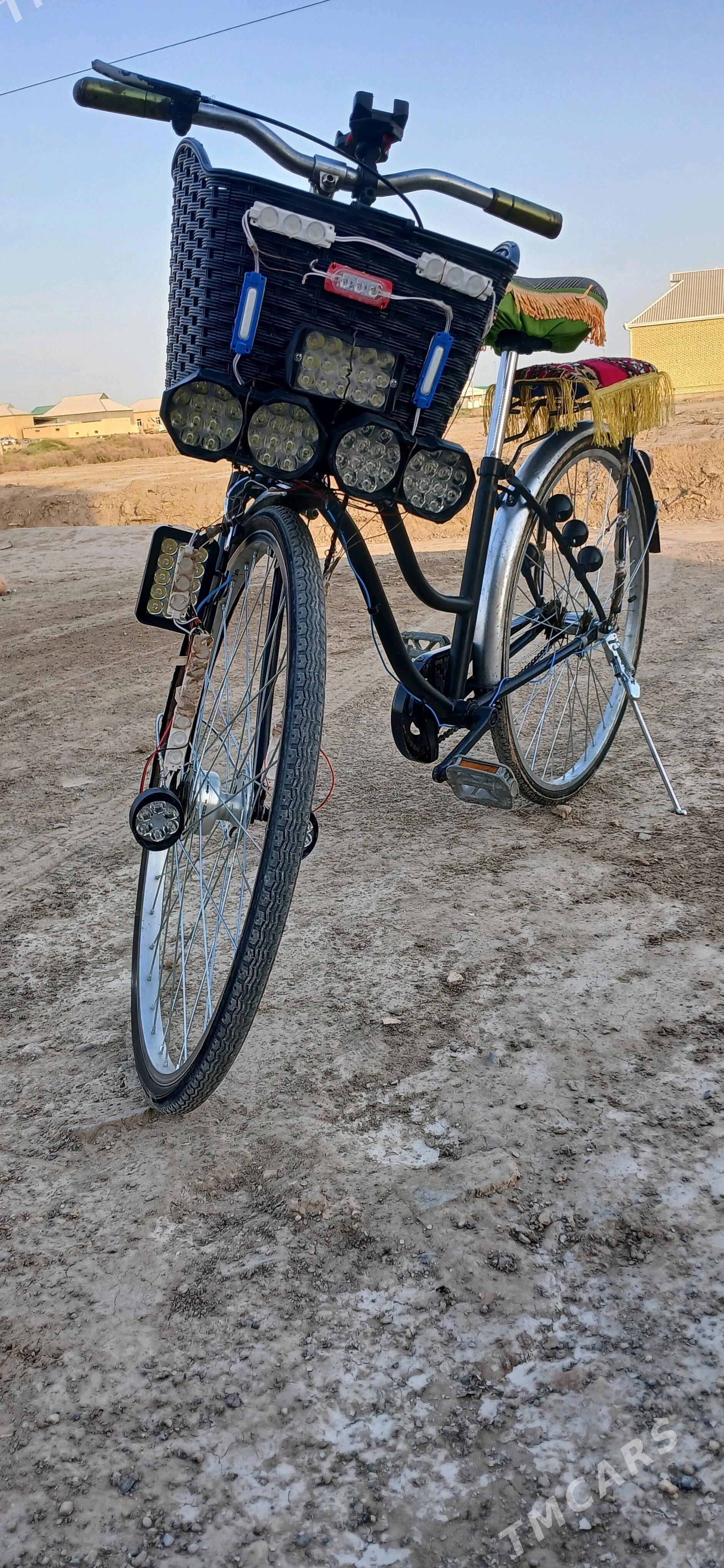 SATLYK WELOSOPED - Сакарчага - img 1