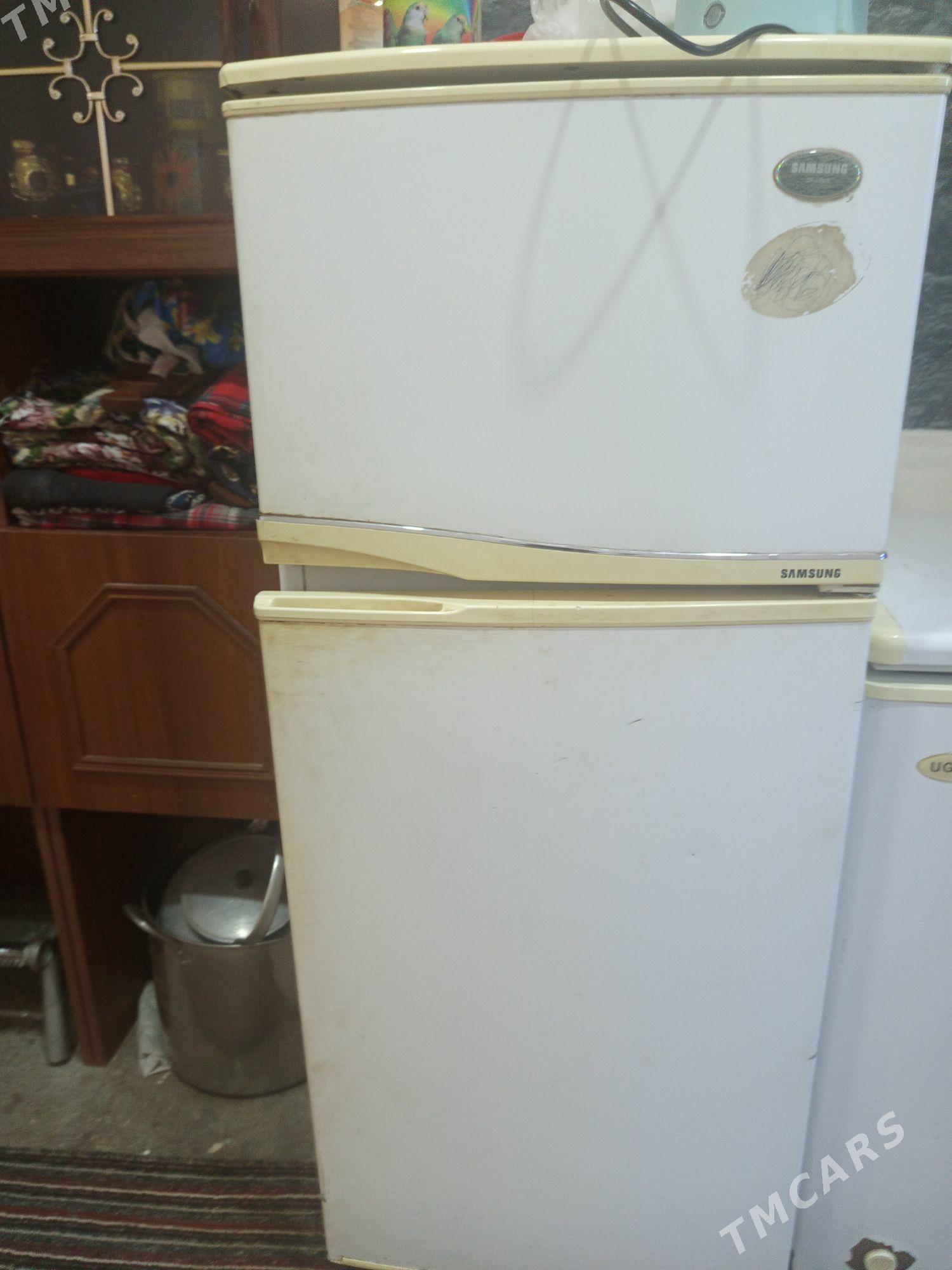 haladynyk - Murgap - img 1