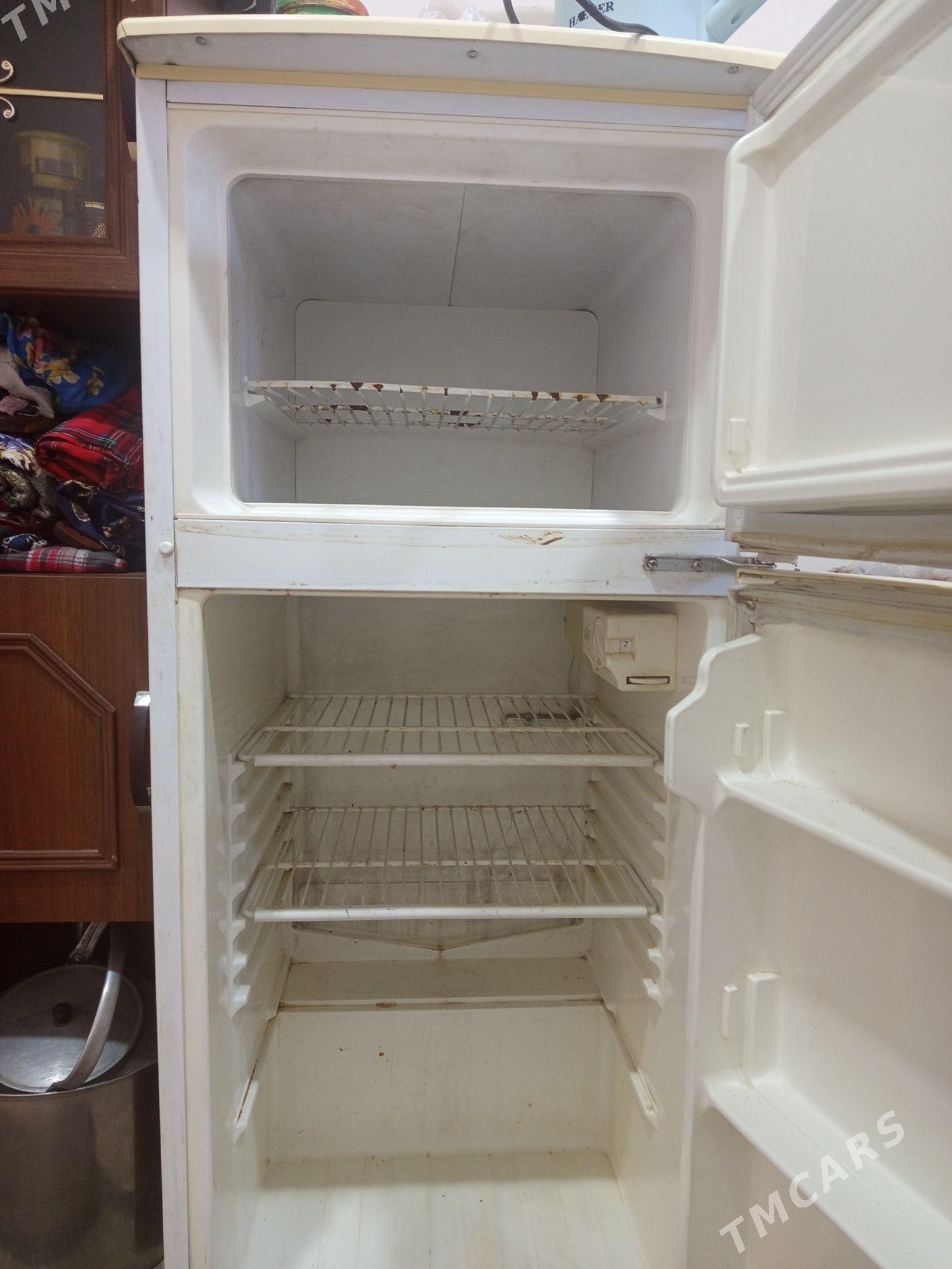 haladynyk - Murgap - img 2