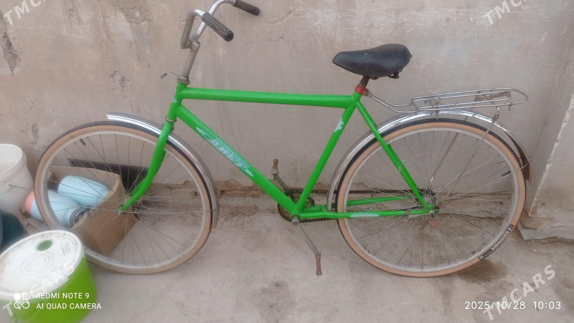 Tigr  welesoped - Дашогуз - img 1