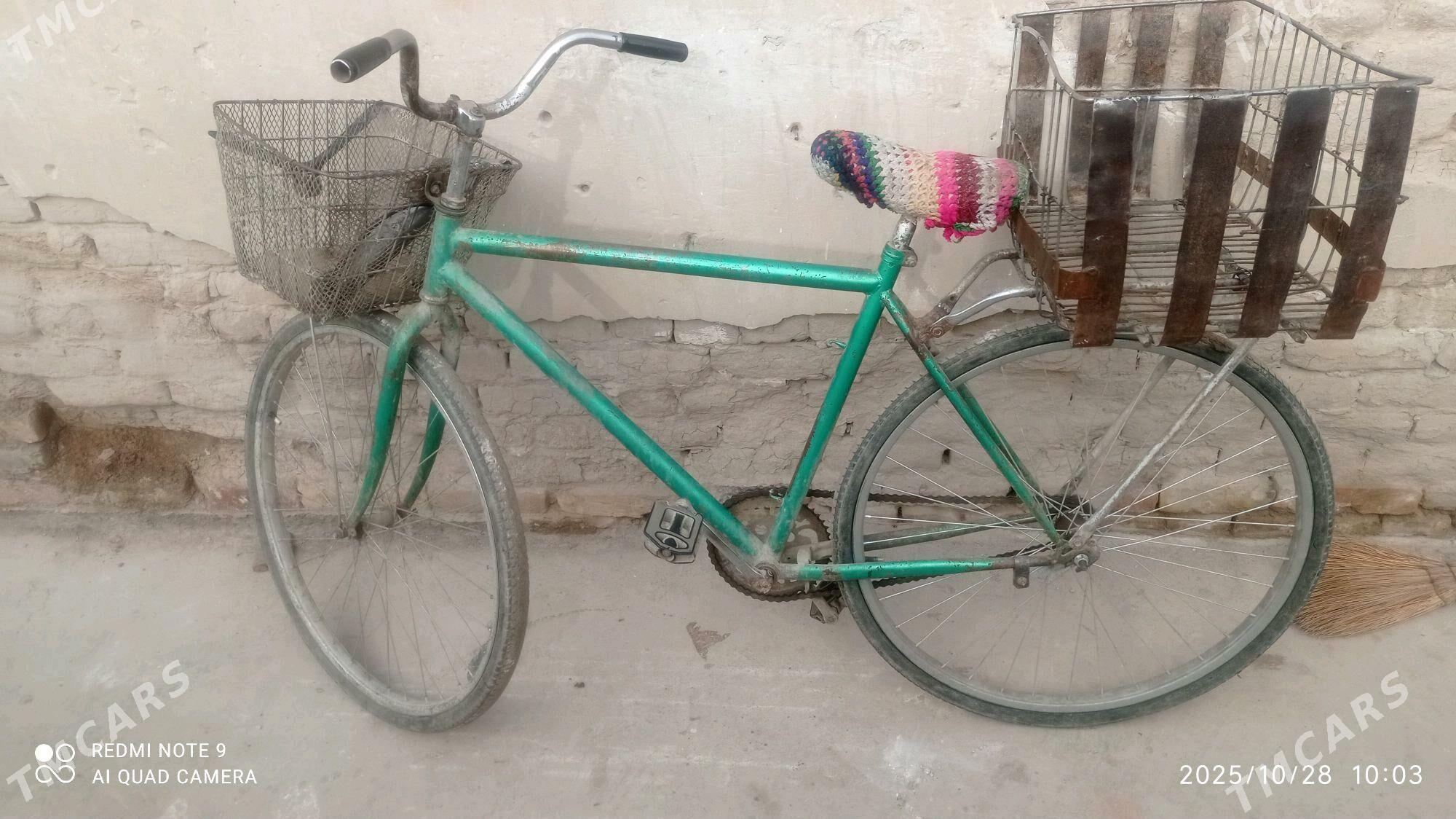 Tigr  welesoped - Дашогуз - img 3