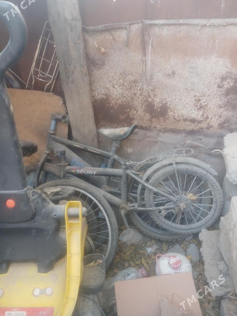 tigir - Köşi - img 1