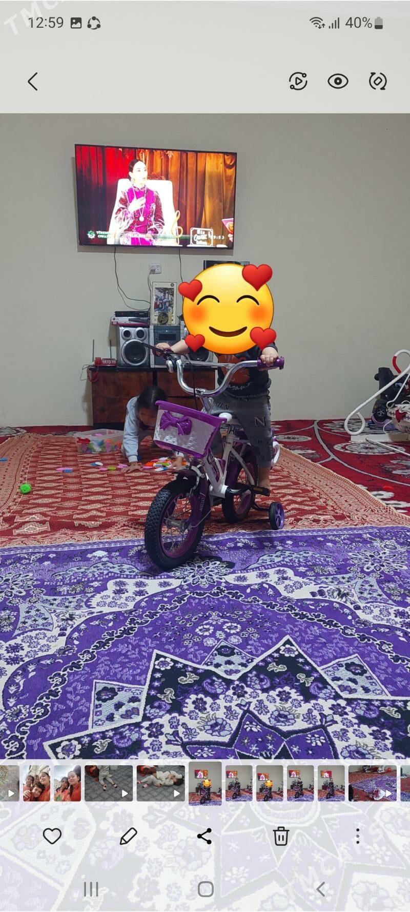 tigir - Махтумкули - img 1