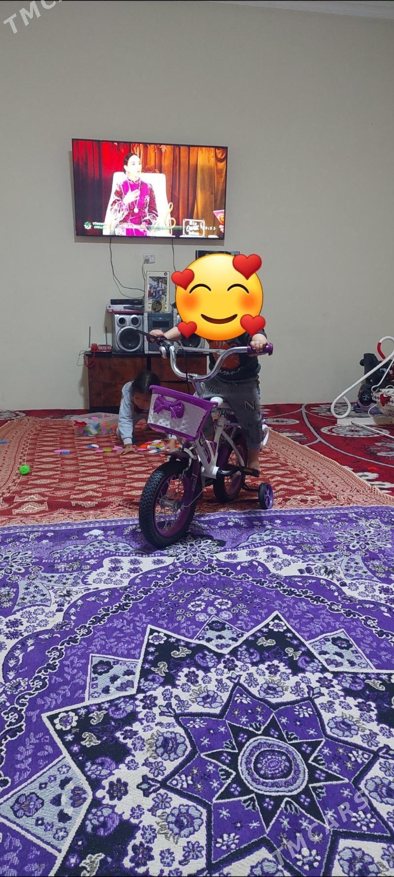 tigir - Махтумкули - img 2