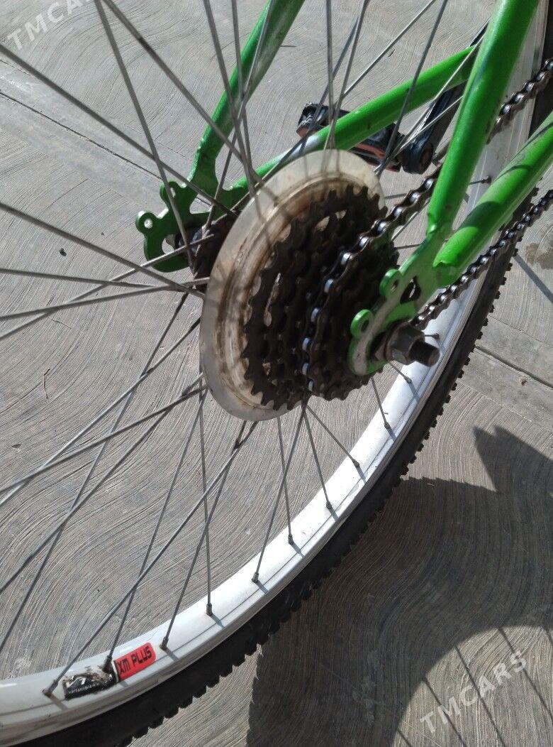 Welik - Türkmenabat - img 4