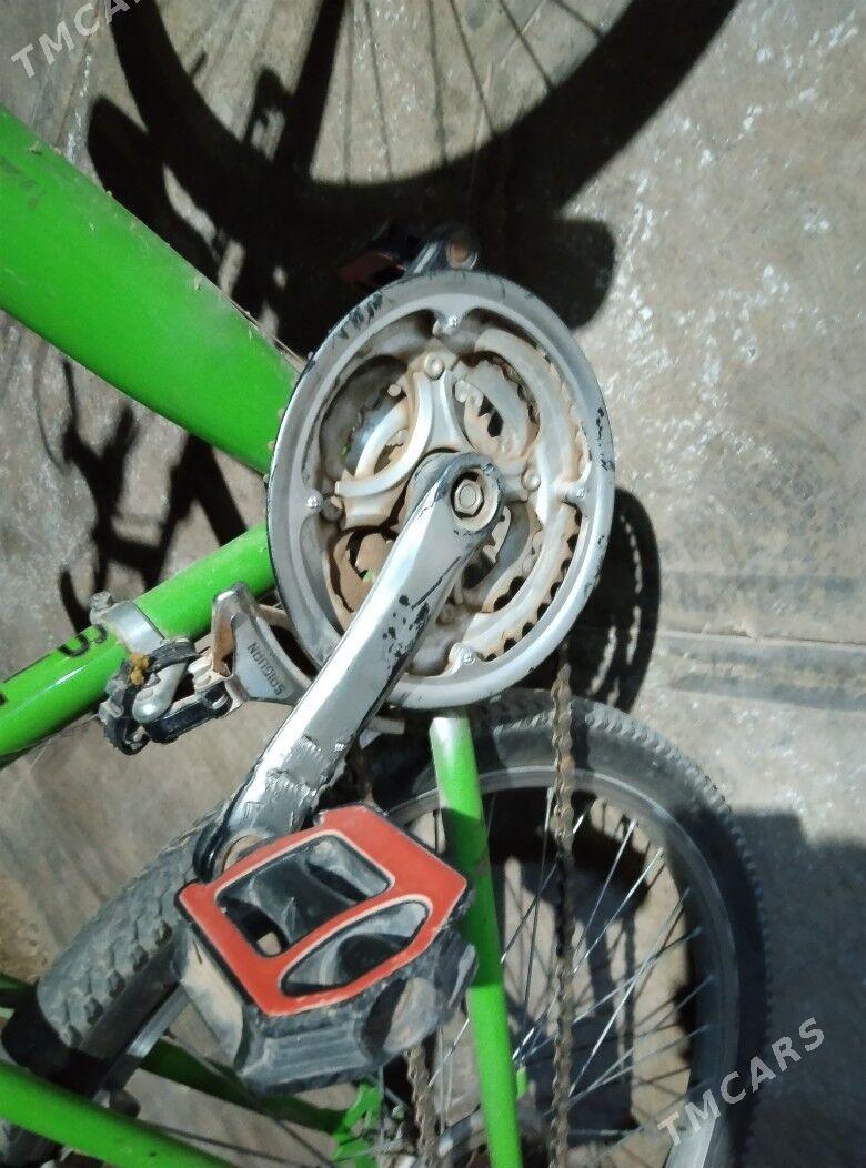 Welik - Türkmenabat - img 9